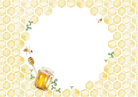 2600 Bee Border Frame Stock Illustrations Royalty Free Vector