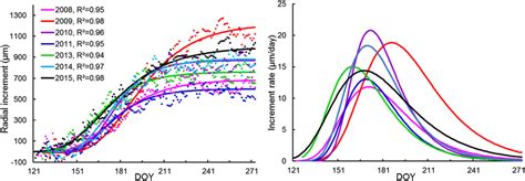 Examples Of Modeled Mean Intra Annual Stem Radial Increments Left And