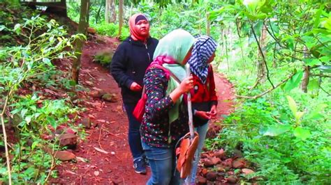 Wisata Purbalingga Air Terjun Curug Rumah Pohon Rembang Purbalingga