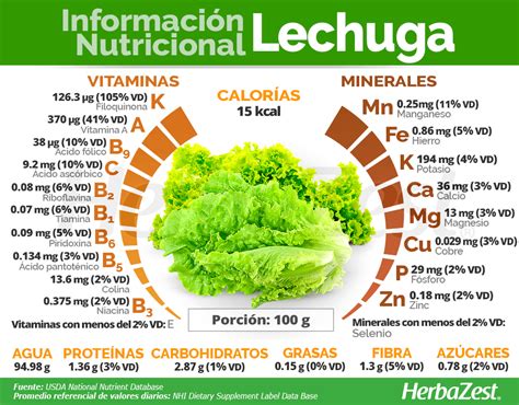 Valores Nutricionales De La Lechuga Calor As E Informaci N Nutricional