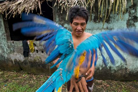 On Assignment: Audubon Magazine - Yasuni National Park | Neil Ever Osborne