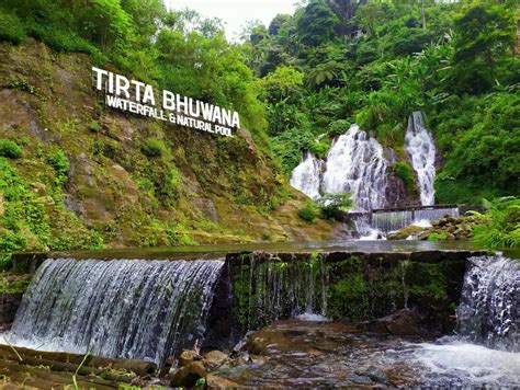 pegadungan tourism village visit north bali