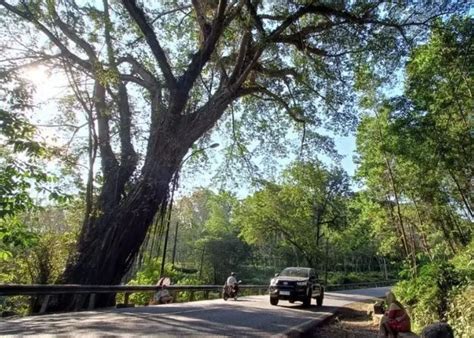 Penelusuran Jalan Angker Di Indonesia Misteri Dan Mitos Di Jalur