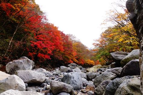 Top 10 Places To Visit In Autumn In South Korea Etourism