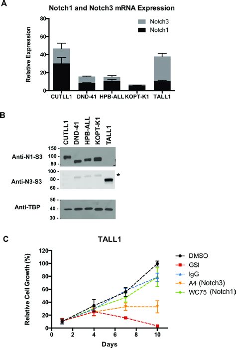 Tall1 Cells Are Notch3 Dependent A Notch1 And Notch3 Mrna Transcript Download Scientific