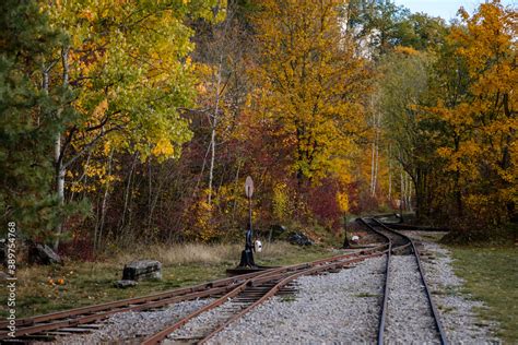 Old Narrow Gauge Railway In Autumn Forest Rails And Sleepers