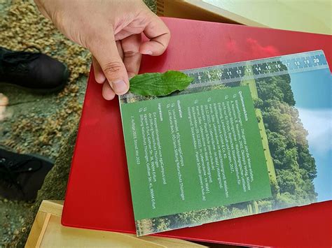 Stiftung Naturschutz Th Ringen Wald Wiese Du Forscherheft F R