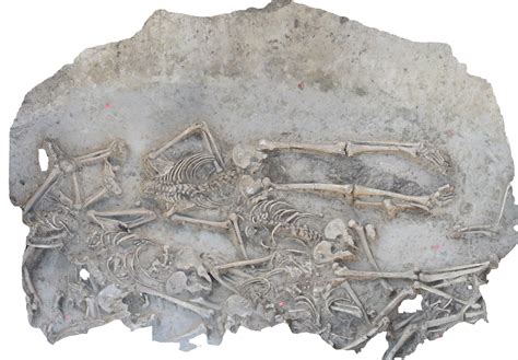 Massacre? Or Something Stranger? 37 Headless Skeletons | IFLScience