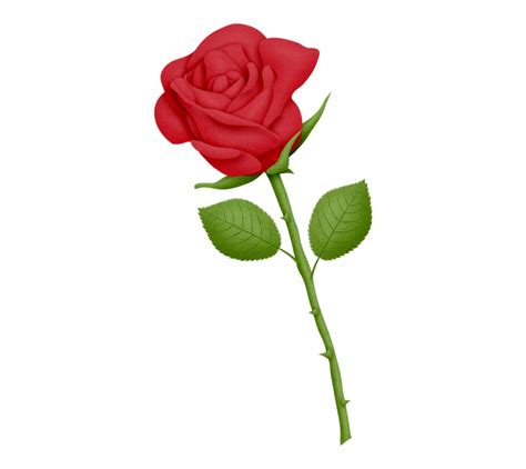 Red Rose Clipart Clip Art Library