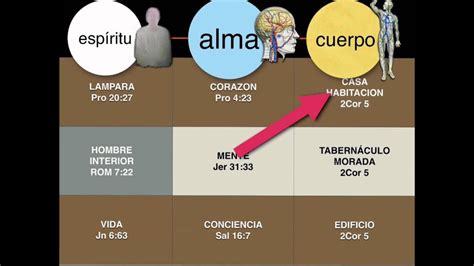 El Estudio B Blico Sobre La Conexi N Entre El Esp Ritu El Alma Y El