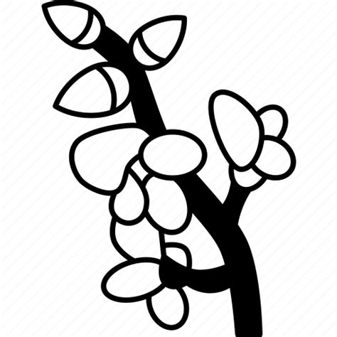 Broom, flower, floral, plant, blossom icon - Download on Iconfinder