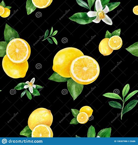 Watercolor Hand Drawn Lemon Fruit Seamless Pattern Stock Illustration Illustration Of Fresh