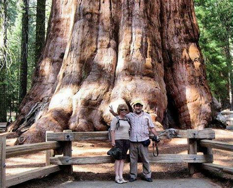 C Mo Visitar Y Qu Ver En El Parque Nacional De Las Secuoyas California