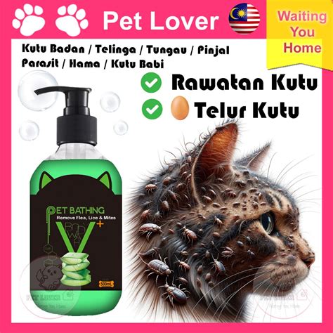 Petlover Shampoo Kutu Kucing Paling Berkesan Shampo Aloe Vera Syampu