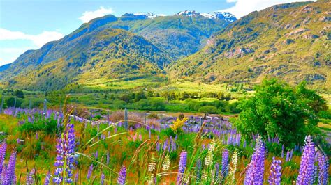 Guía para recorrer la Carretera Austral Los mejores tours y