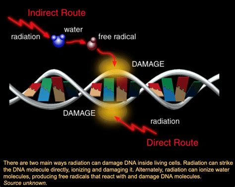 Radiation Shielding Stemrads Approach Stemrad