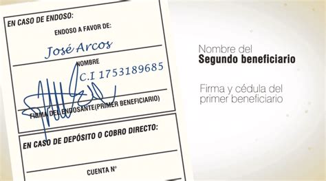 Guía práctica Cómo endosar un cheque correctamente para depositarlo