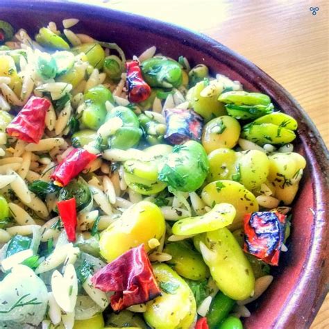 Broad Bean Salad Recipe With Orzo • Turkey S For Life