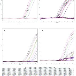 Amplification Plots Of Designed Triplex Real Time Pcr Specificity Of