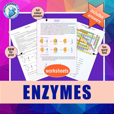 Enzyme Worksheets Answers What Is A Catalyst