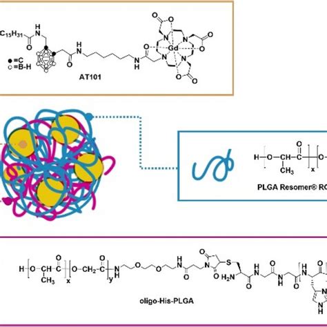 Schematic representation of PLGA-His nanoparticles. | Download Scientific Diagram