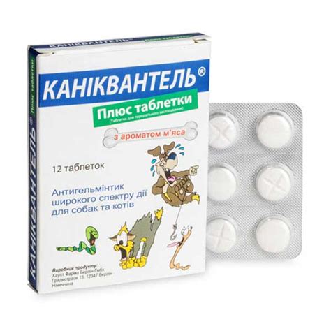 Jaký je nejlepší lék na odčervení koček?
