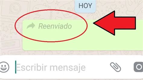 Así Puede Reenviar Un Mensaje Por Whatsapp Sin Que Aparezca La Etiqueta