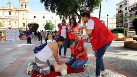 Im Genes De La Celebraci N Del D A De La Banderita De La Cruz Roja En