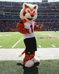 What Animal Is The Cincinnati Bengals Mascot?