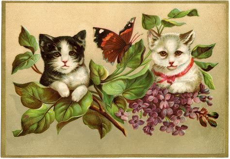 Vintage Cat Wallpapers Wallpaper Cave