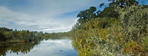 Los Quetzales National Park Visit Costa Rica The Official Site