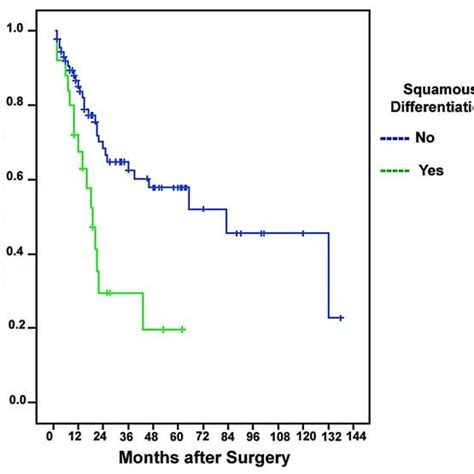 Disease Free Survival Among Patients With And Without Squamous Download Scientific Diagram