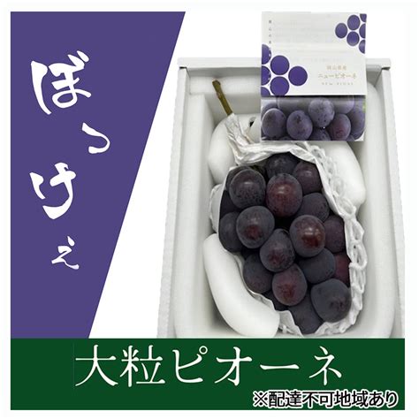 ぶどう 2024年 先行予約 ぼっけえ大粒ニューピオーネ1房800g以上 化粧箱入り ブドウ 葡萄 岡山県産 国産 フルーツ 果物 ギフト