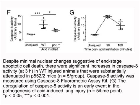 美国apexbio中文官网 Caspase 8 Fluorometric Assay Kit Detects Ietd Dependent Caspase Activity