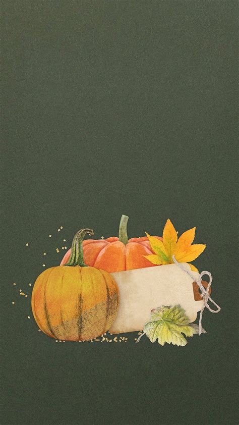 Pumpkin Botanical Illustration Image Wallpaper By Chigerg