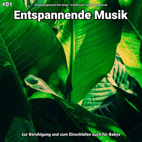 Entspannende Musik pt 60 Entspannungsmusik Schlafmusik 单曲 网易云音乐