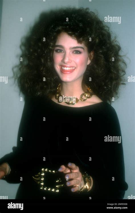 New York New York Usa 19 Februar 1982 Schauspielerinmodel Brooke Shields Postet Am 100 19