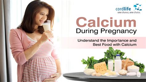 PPT Calcium During Pregnancy Understand The Importance And Best Food