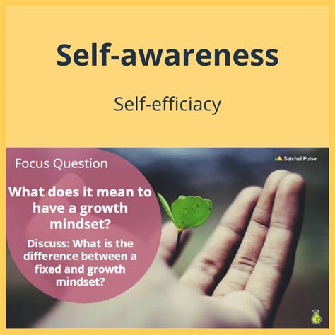 SEL Lesson: Self-efficacy 7 - Growth mindset – The SEL Store