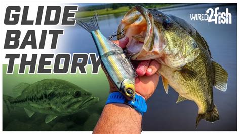 Learn This Glide Bait Theory To Catch More Bass Youtube