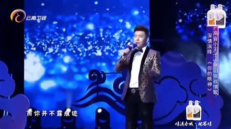 李连杰电影《中南海保镖》插曲【请你看着我的眼睛】王馨平