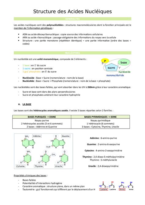 Structure Des Acides Nucl Iques Structure Des Acides Nucl Iques