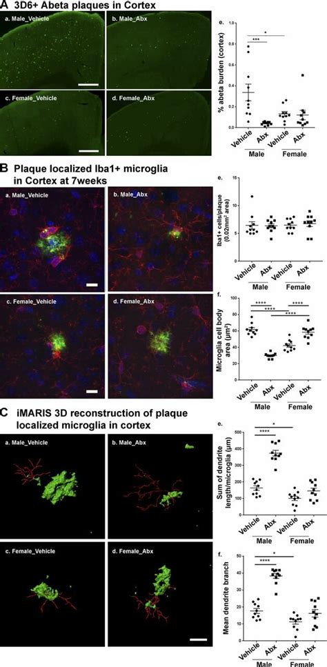 Reductions In A Pathology And Altered Plaque Localized Microglial