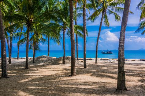 Cua Dai Beach Guide