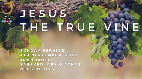 Jesus The True Vine Ntcg Dudley