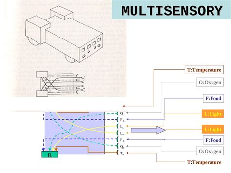 18 Generalized Braitenberg Vehicles