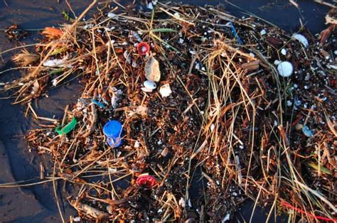 The 5 Biggest Ocean Garbage Patches In The World