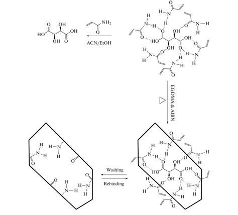 Schematic Representation Of Tartaric Acid Imprinting Procedure With