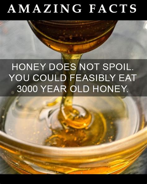 Honey Does Not Spoil Amazing Facts With Images Fun Facts Happy