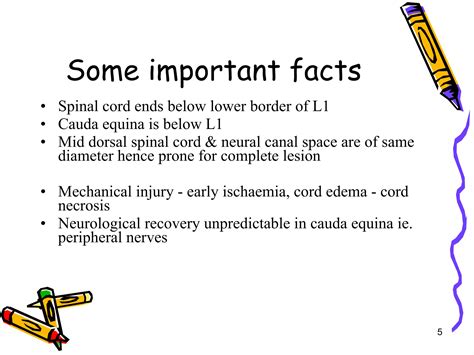 Thoraco lumbar injuries | PPT